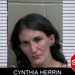 Cynthia Herrin mugshot – Wayne County , Georgia Cynthia Herrin mugshot