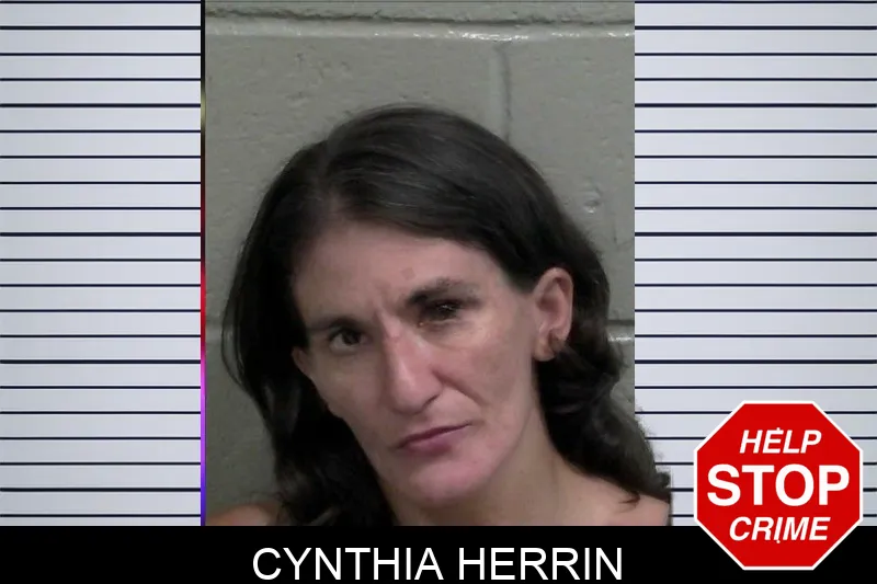 Cynthia Herrin mugshot – Wayne County , Georgia Cynthia Herrin mugshot