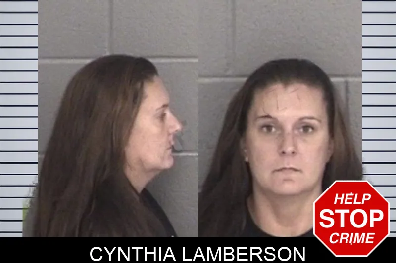 Cynthia Lamberson mugshot