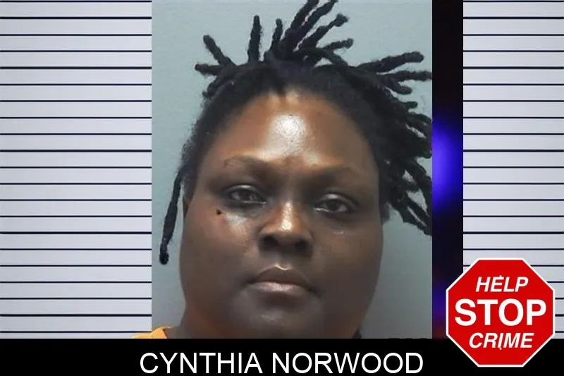 Cynthia Norwood mugshot – Cherokee County , Georgia Cynthia Norwood mugshot