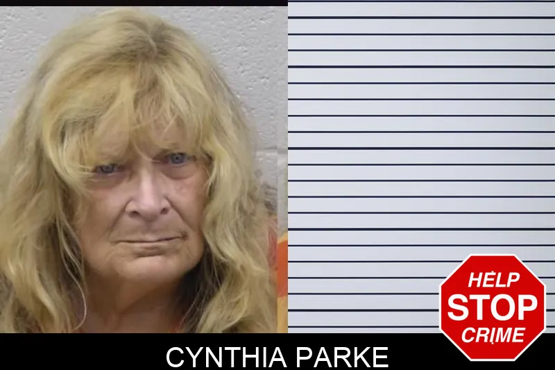Cynthia Parke mugshot – Paulding County , Georgia Cynthia Parke mugshot