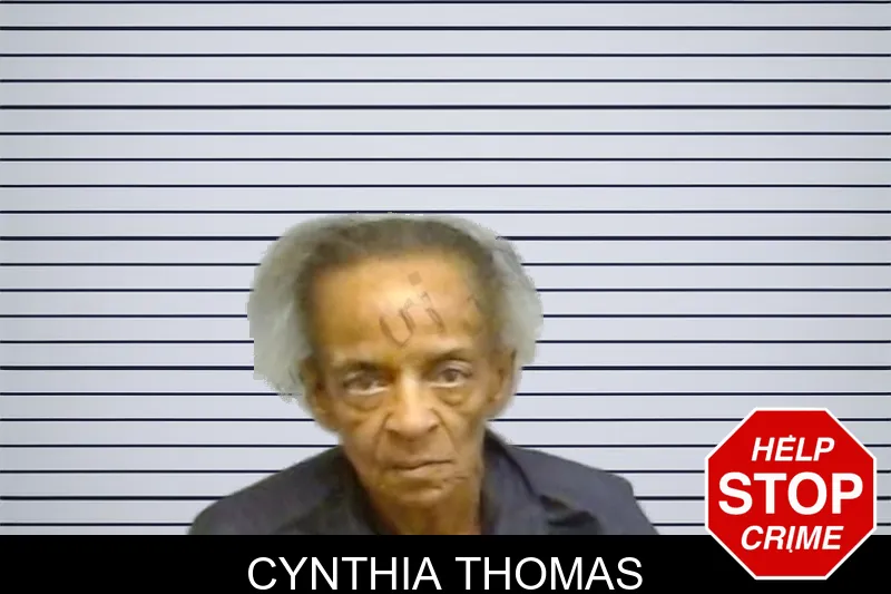 Cynthia Thomas mugshot