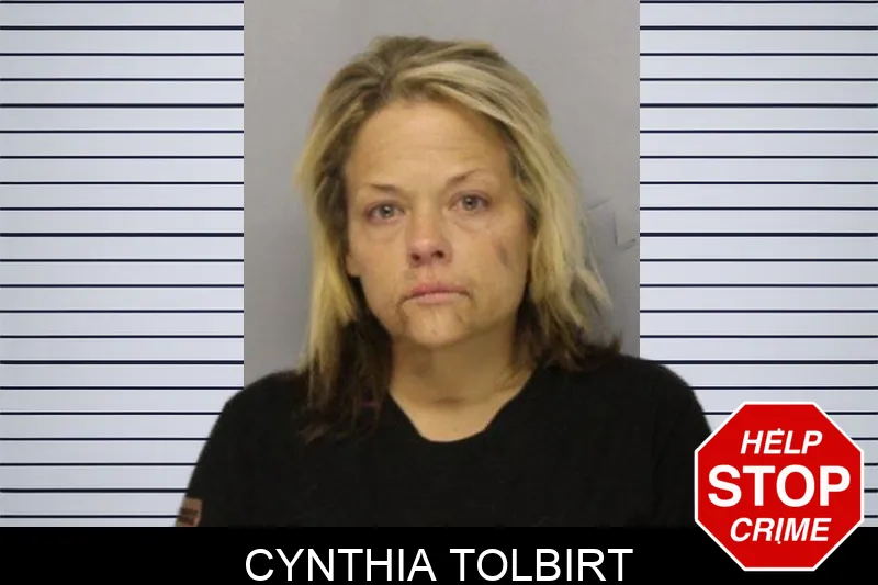 Cynthia Tolbirt mugshot – Hall County , Georgia Cynthia Tolbirt mugshot