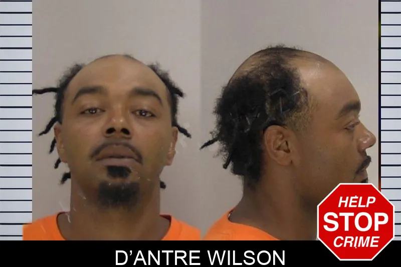 D’Antre Wilson mugshot
