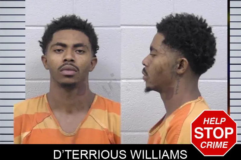 D’Terrious Williams mugshot – Paulding County , Georgia D’Terrious Williams mugshot
