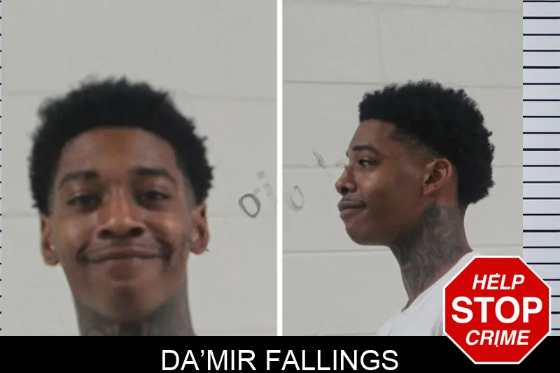 Da’Mir Fallings mugshot – Houston County , Georgia Da’Mir Fallings mugshot