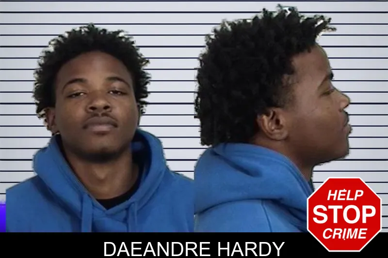 Daeandre Hardy mugshot