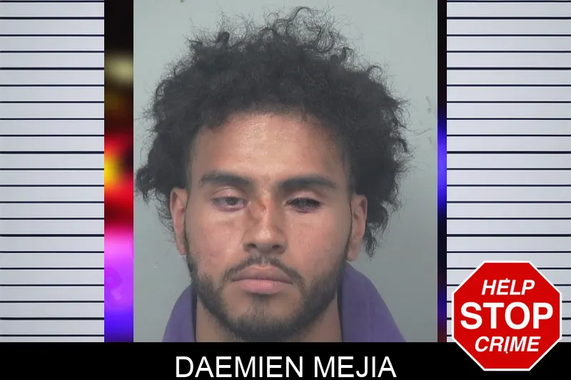Daemien Mejia mugshot