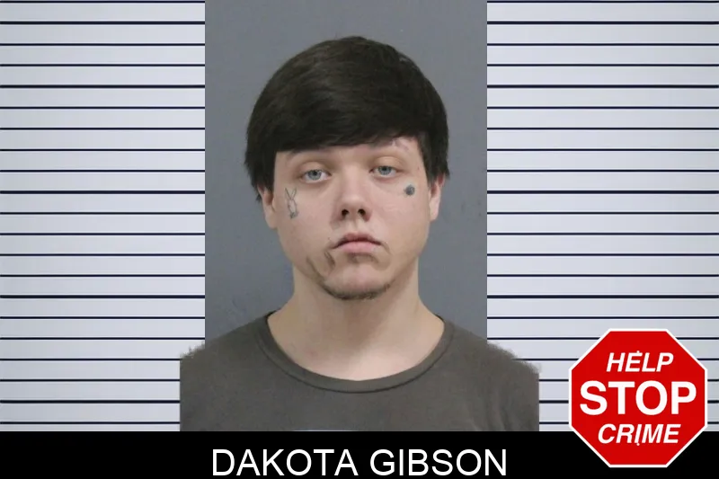 Dakota Gibson mugshot