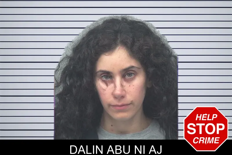 Dalin Abu Ni Aj mugshot – Gwinnett County , Georgia Dalin Abu Ni Aj mugshot