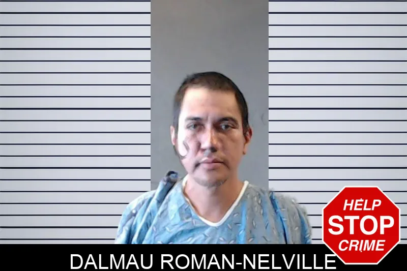 Dalmau Roman-Nelville mugshot
