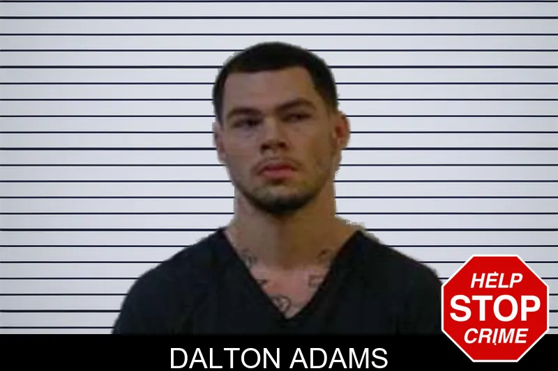 Dalton Adams mugshot