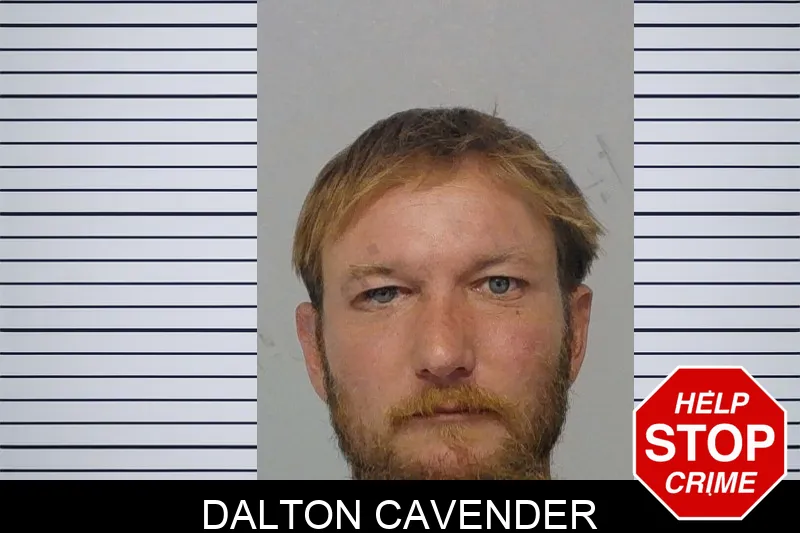 Dalton Cavender mugshot
