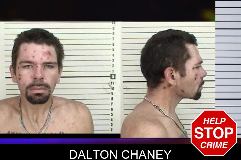 Dalton Chaney mugshot