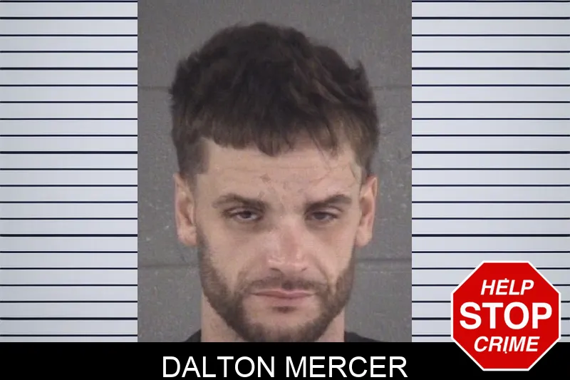 Dalton Mercer mugshot