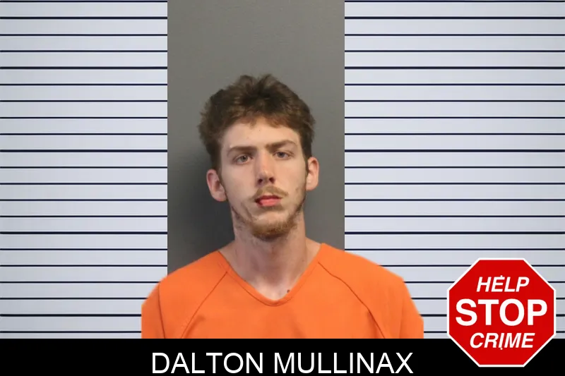 Dalton Mullinax mugshot