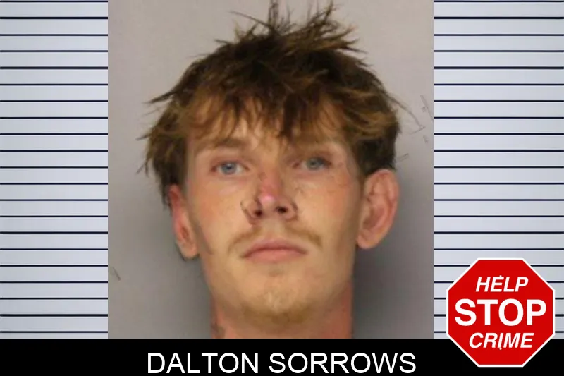 Dalton Sorrows mugshot