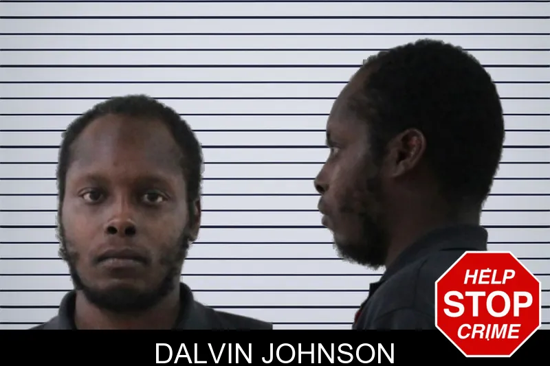 Dalvin Johnson mugshot – Houston County , Georgia Dalvin Johnson mugshot