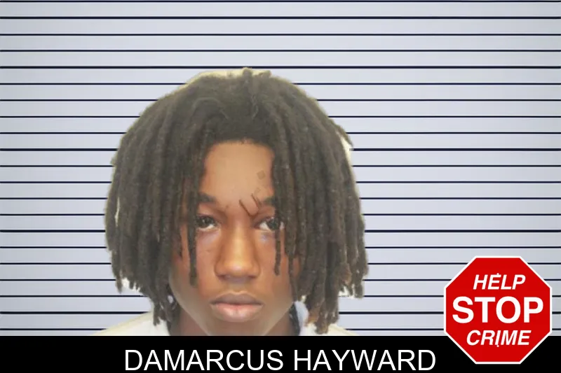 Damarcus Hayward mugshot