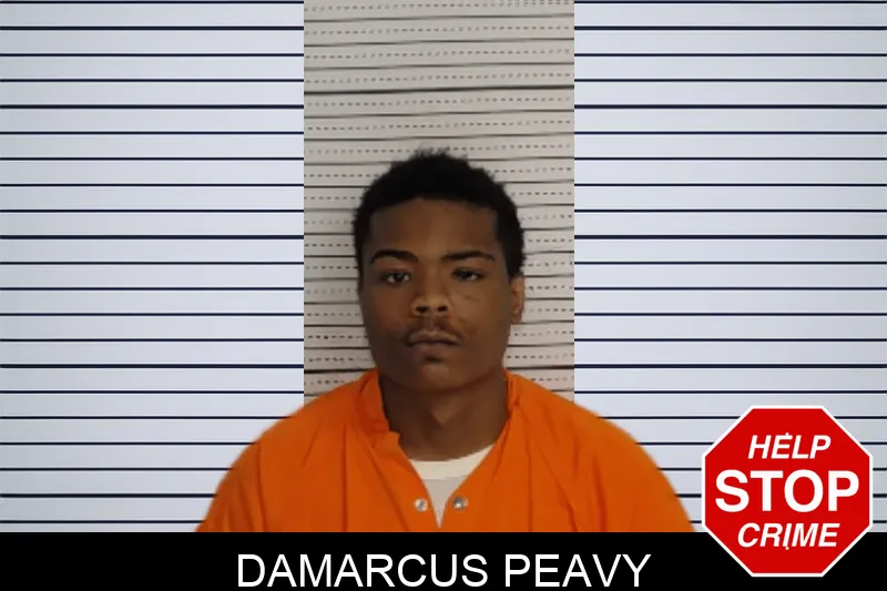 Damarcus Peavy mugshot