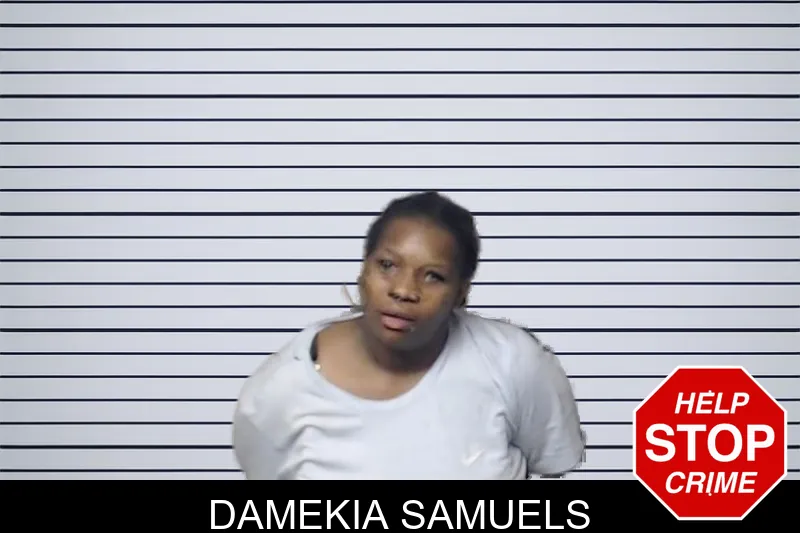 Damekia Samuels mugshot