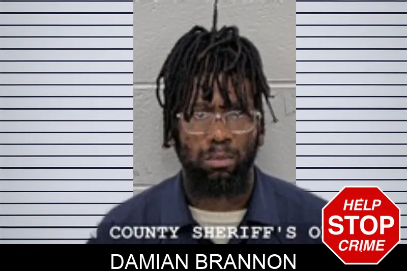 Damian Brannon mugshot