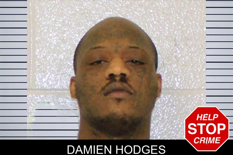 Damien Hodges mugshot