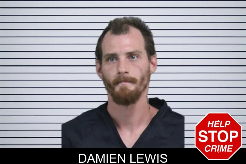 Damien Lewis mugshot