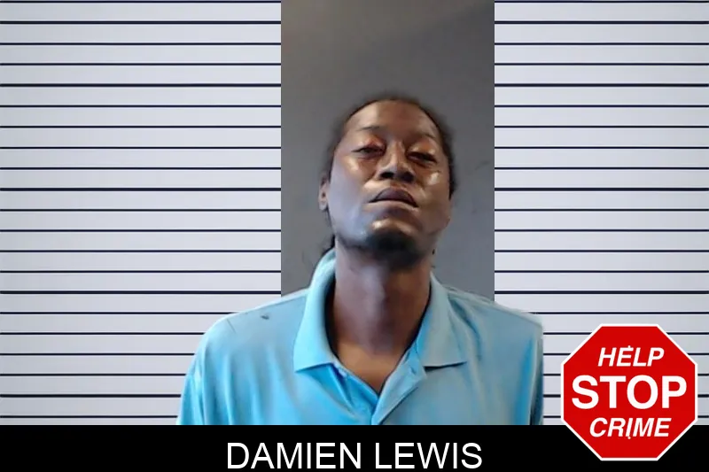 Damien Lewis mugshot