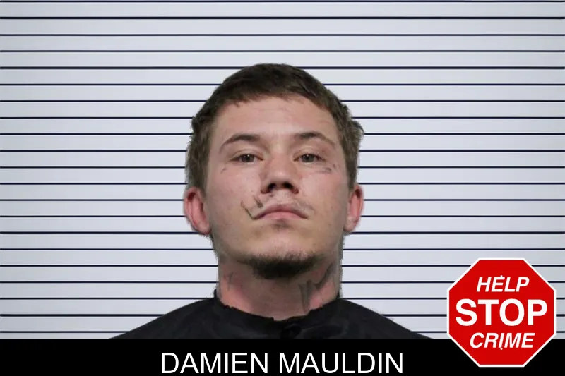Damien Mauldin mugshot