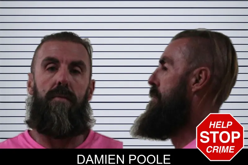 Damien Poole mugshot