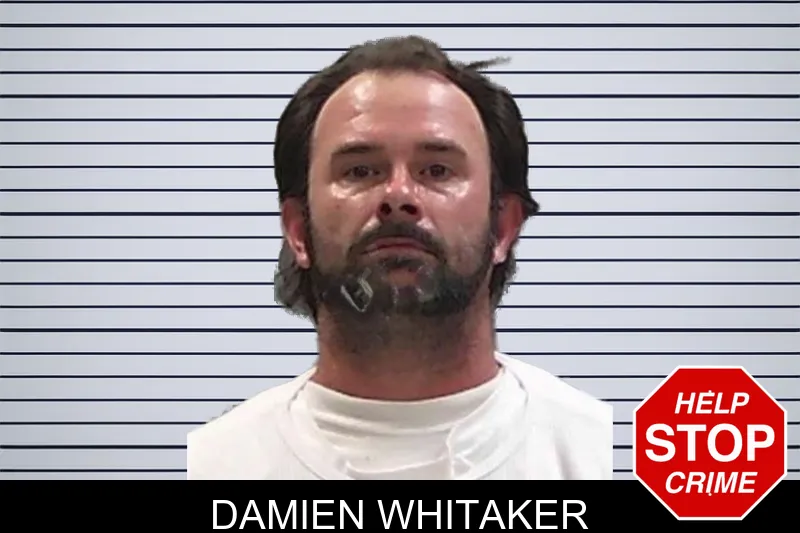 Damien Whitaker mugshot