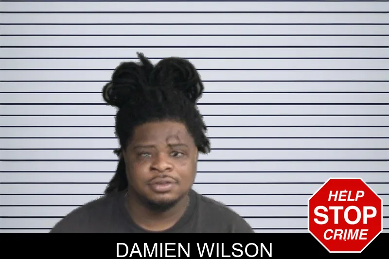 Damien Wilson mugshot – Twiggs County , Georgia Damien Wilson mugshot