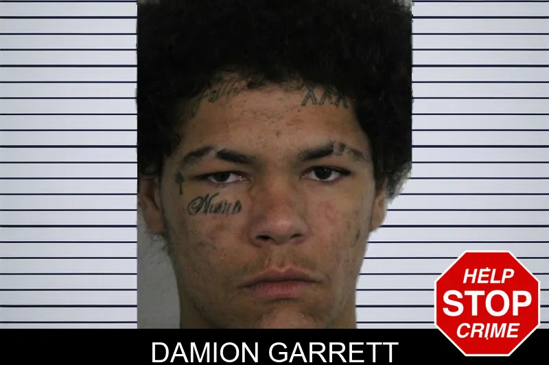 Damion Garrett mugshot