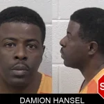 Damion Hansel mugshot – Paulding County , Georgia Damion Hansel mugshot