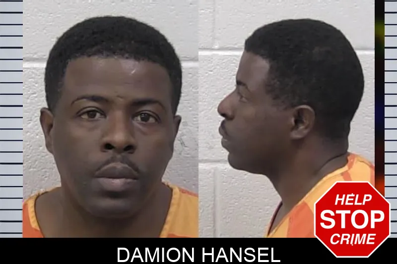 Damion Hansel mugshot – Paulding County , Georgia Damion Hansel mugshot