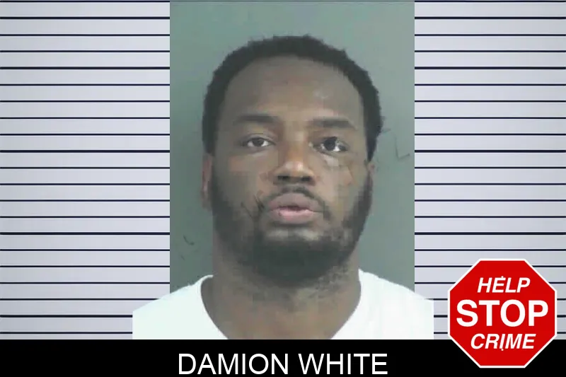 Damion White mugshot – Mitchell County , Georgia Damion White mugshot