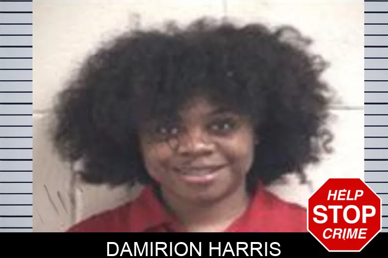 Damirion Harris mugshot – Henry County , Georgia Damirion Harris mugshot