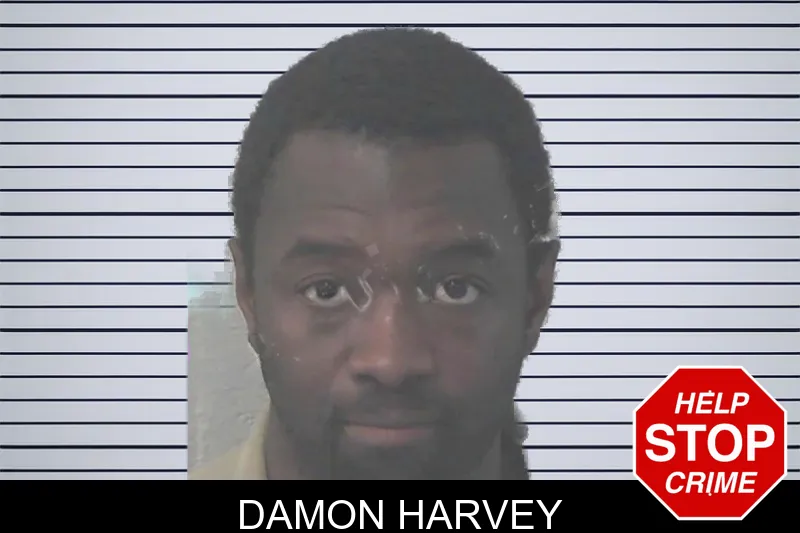 Damon Harvey mugshot