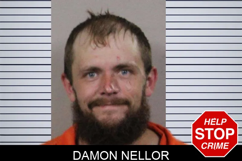 Damon Nellor mugshot