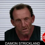 Damon Strickland mugshot