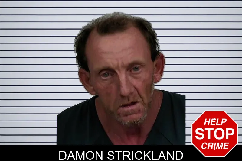 Damon Strickland mugshot
