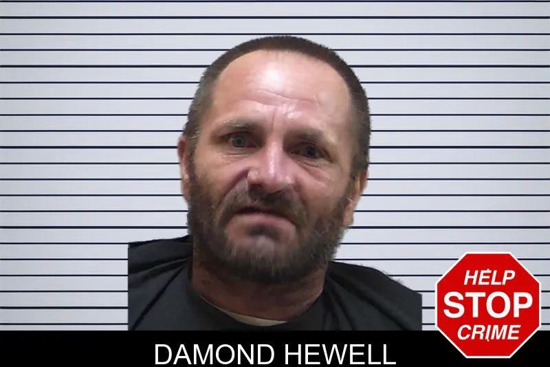 Damond Hewell mugshot – Madison County , Georgia Damond Hewell mugshot