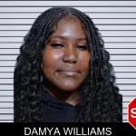 Damya Williams mugshot