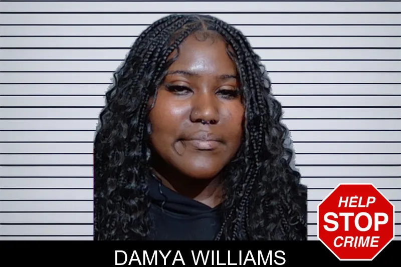 Damya Williams mugshot