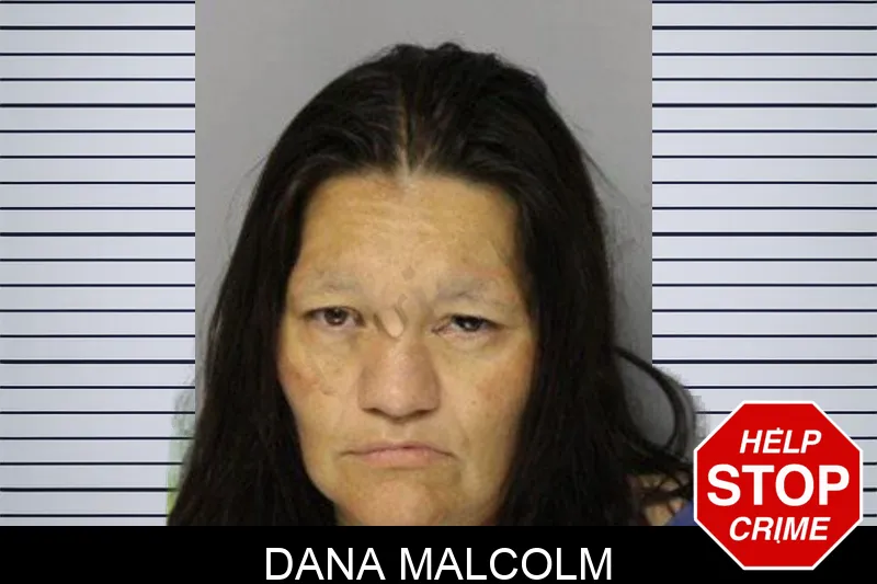 Dana Malcolm mugshot