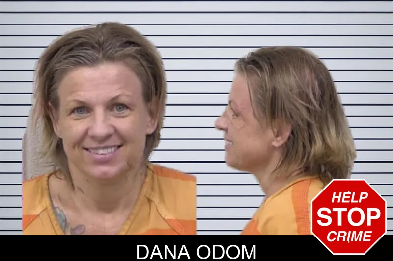 Dana Odom mugshot