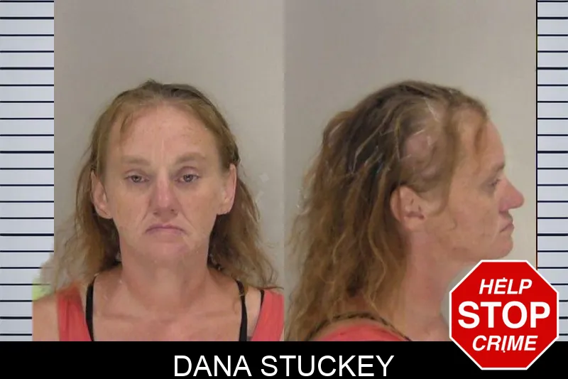 Dana Stuckey mugshot