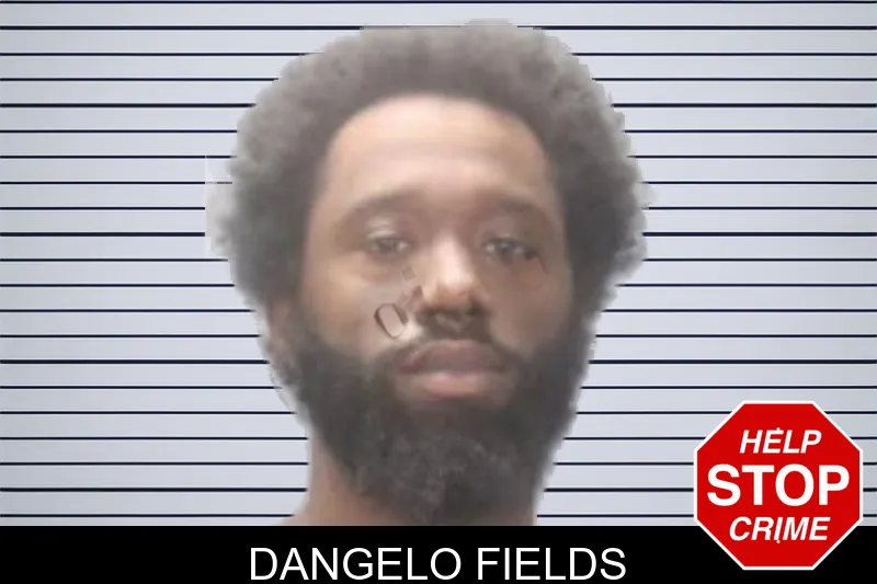 Dangelo Fields mugshot