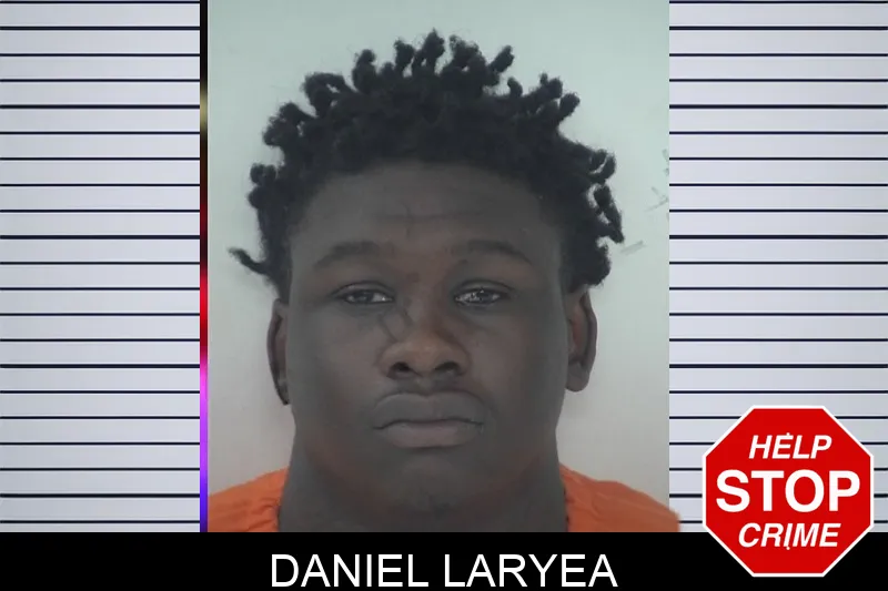 Daniel Laryea mugshot – Fayette County , Georgia Daniel Laryea mugshot